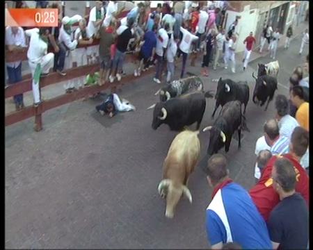 Imagen Las reses de Victoriano del Río protagonizan un vibrante quinto encierro...