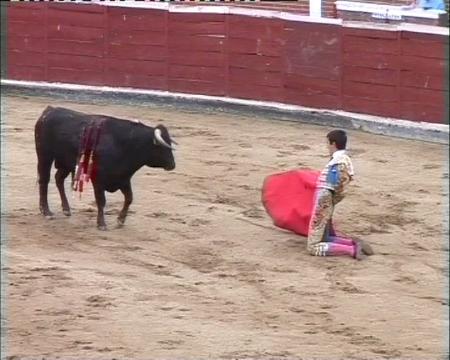 Imagen Balance de la Feria Taurina de San Sebastián de los Reyes   2014