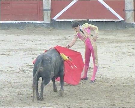 Imagen Balance de la Feria Taurina de Sanse 2013