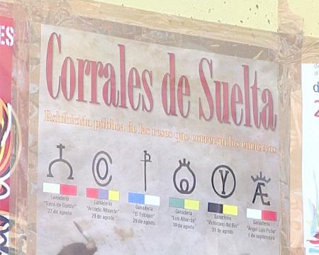 Imagen Visitando los corrales de suelta de reses