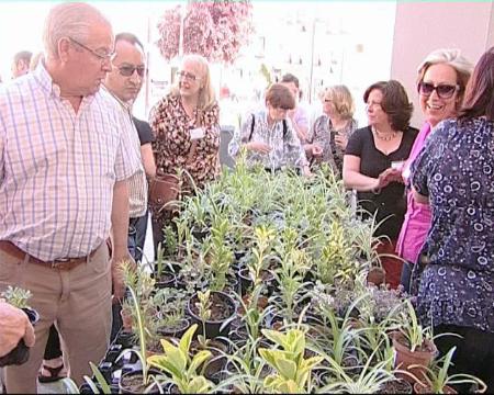 Imagen Sanse regaló plantas para celebrar el Día Mundial del Medio Ambiente