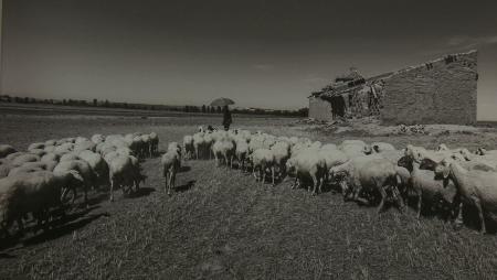 Imagen “Tierra de campos y palomares”, las fotos de Luis Mendía en la...