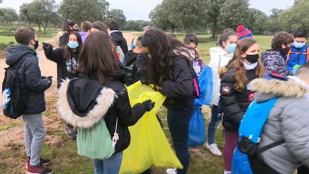 Imagen Alumnos del IES Torrente Ballester participan en una recogida de...