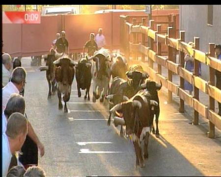 Imagen Primer encierro de 2012 en San Sebastián de los Reyes