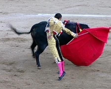 Imagen Sanse firma para declarar los toros Bien de Interés Cultural