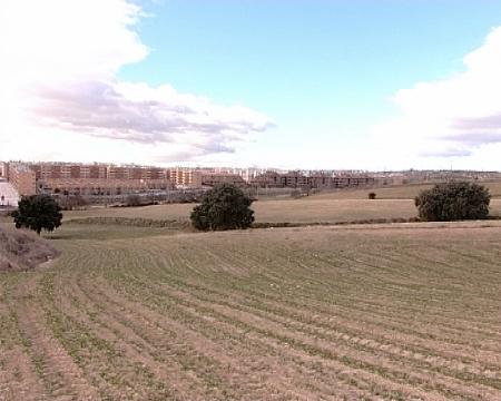 Imagen Cerro del Baile, nuevo desarrollo urbanístico en San Sebastián de los Reyes