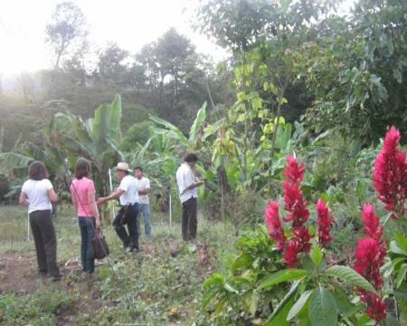 Imagen Premio Protectores de la Tierra 2011 para un proyecto de cooperación en...