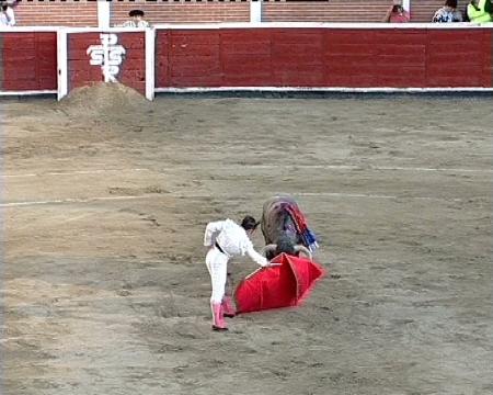 Imagen Primera corrida de toros de la Feria de San Sebastián de los Reyes