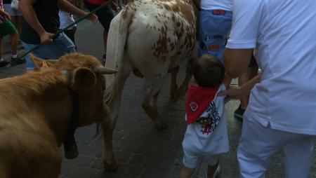 Imagen Gran participación en la trashumancia infantil y los festejos taurinos...