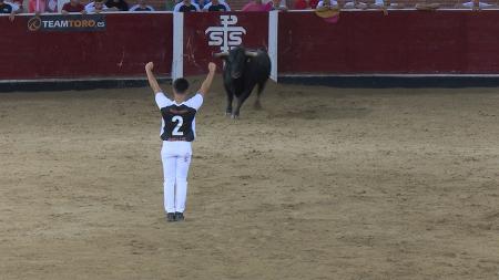 Imagen Más cerca del toro con Sergio Pinel, recortador de San Sebastián de los...