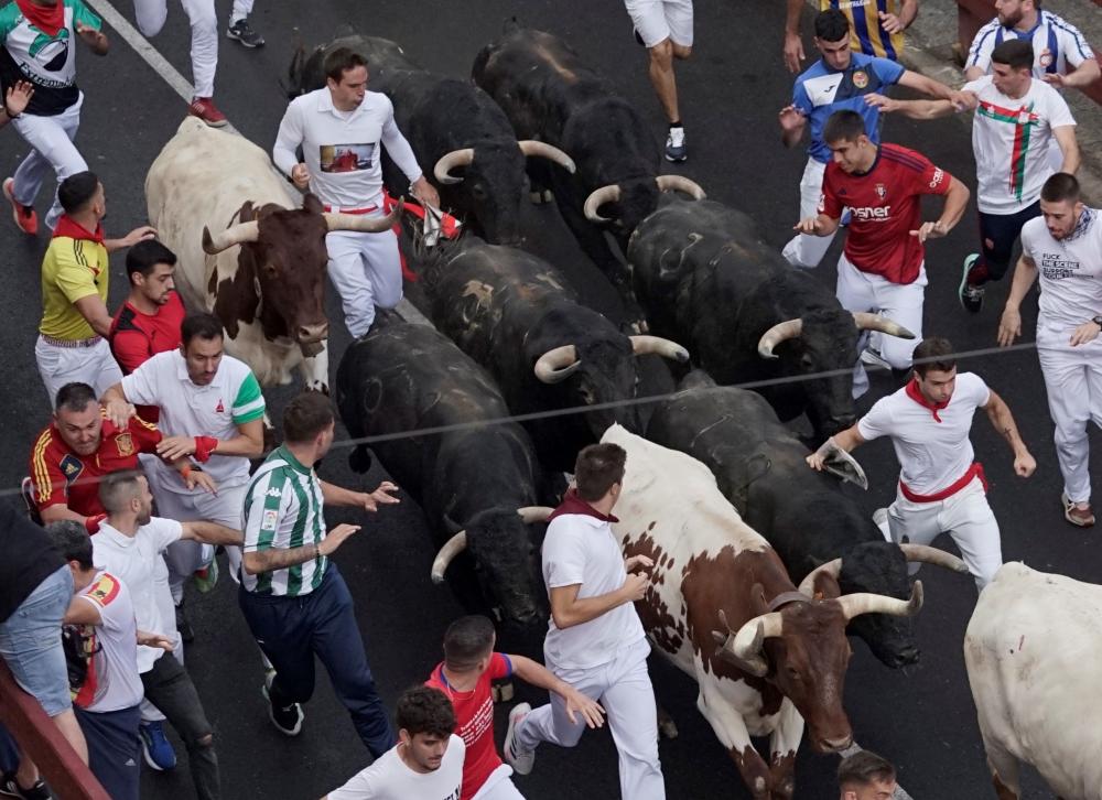 Imagen Los astados de Zalduendo dejan el encierro más rápido con grandiosas carreras