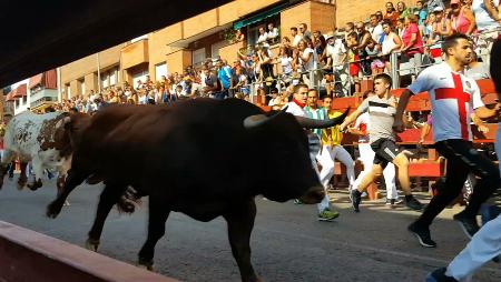 Imagen Así han transcurrido los seis encierros de Sanse 2019