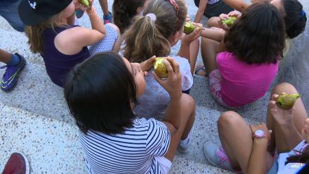 Imagen Conciliación laboral en Semana Santa gracias al programa Sanse Concilia