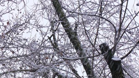 Imagen Madrid en alerta por bajas temperaturas y nevadas